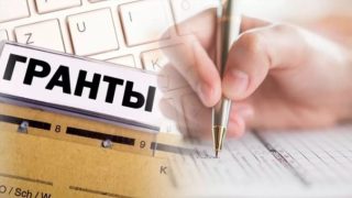 возможность получения льготных кредитов и грантов